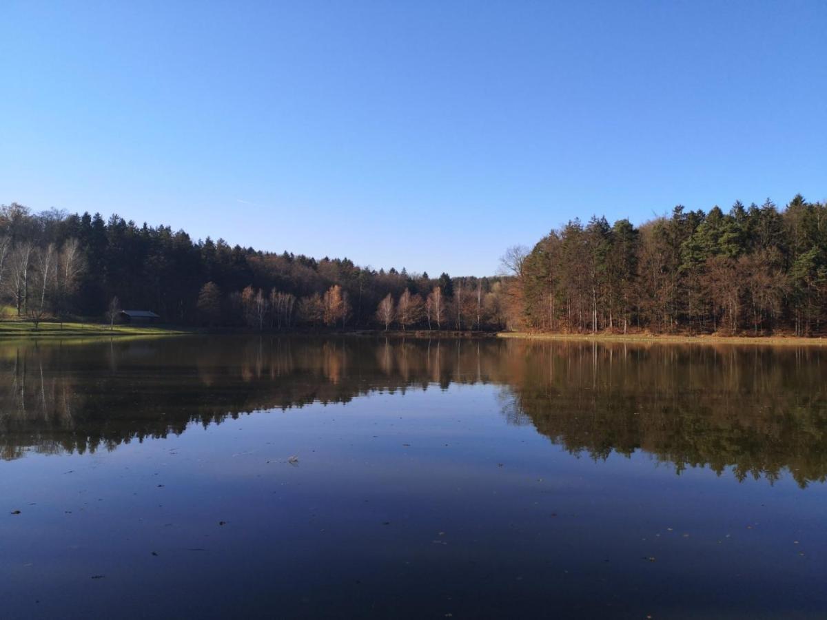 Domacija Vrski Slovenska Bistrica Exterior foto